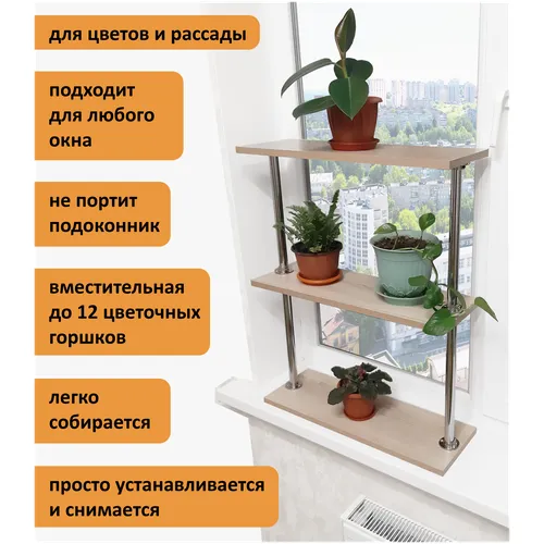 Как защитить растение на подоконнике от холода? | блог интернет - магазина АртФлора