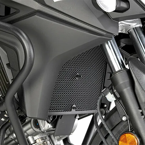 Защита двигателя (до 2014г.в.) (Suzuki dl 1000 V-Strom)